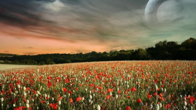 群晖 nas 有些什么基本和好玩的功能？